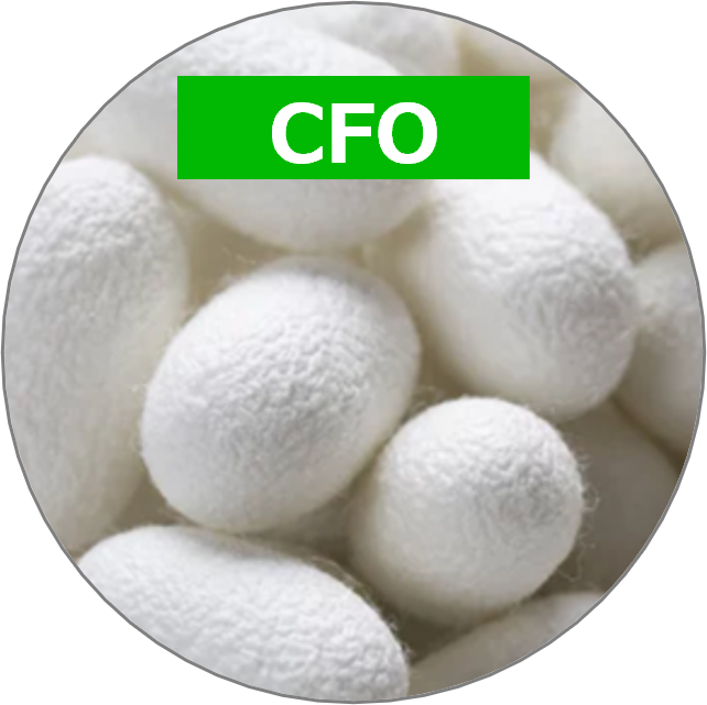 CFO（最高財務責任者）